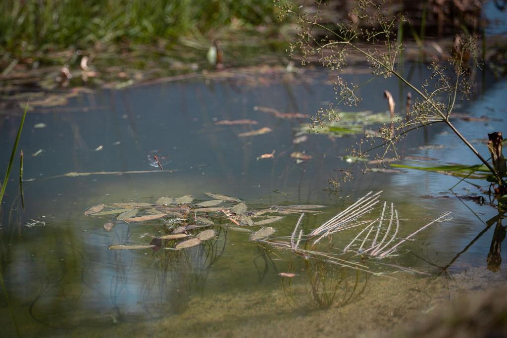 Take It Slowly photo 3
