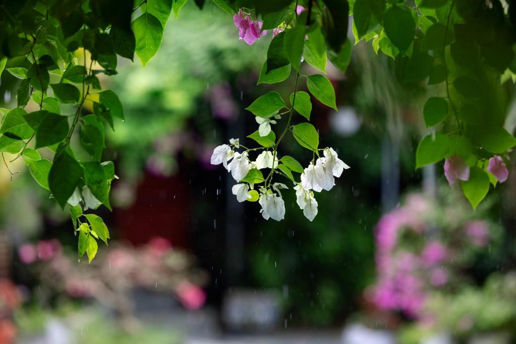 Trang An Family Homestay