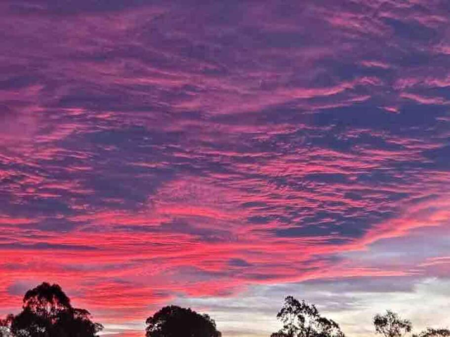Sunset Manor Stays- Pet Friendly Unit Bairnsdale