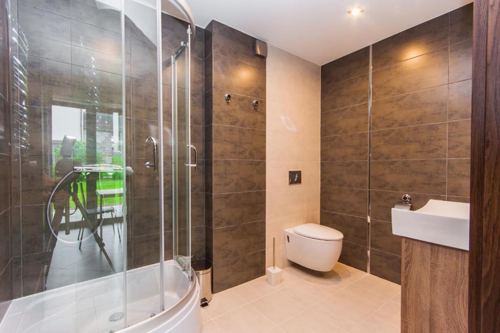 Апартаменты (Апартаменты с 1 спальней и балконом), Apartamenty Dawna Wisła