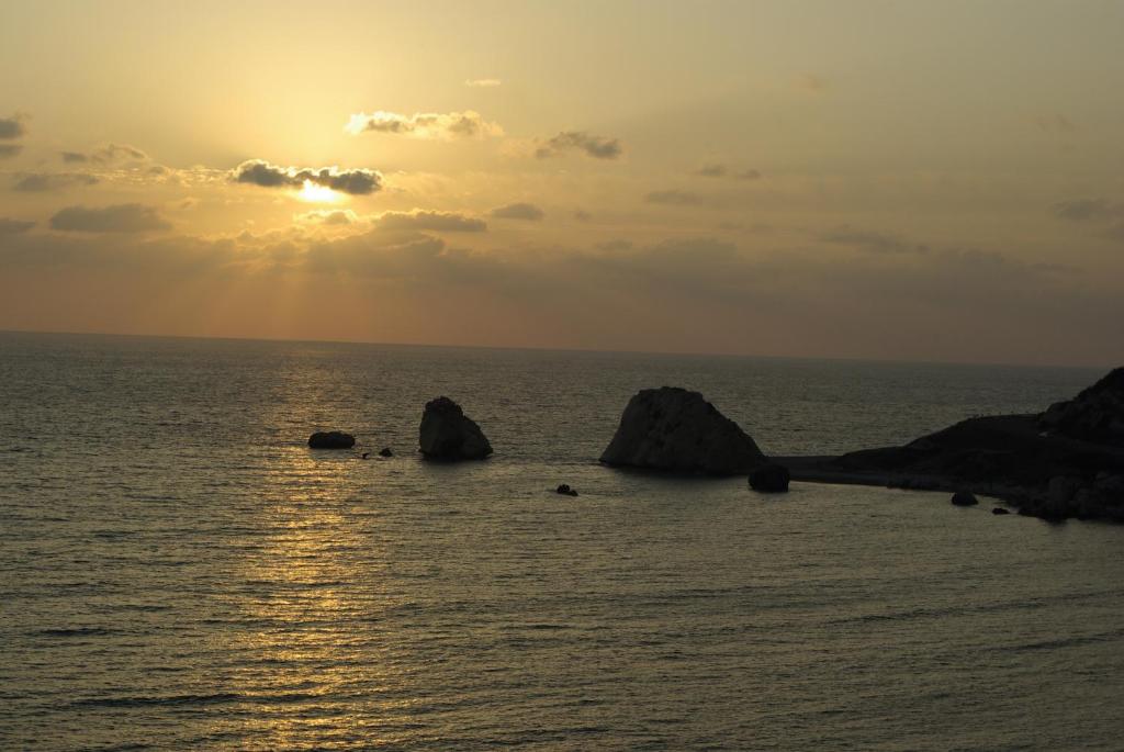 2 bedroom Villa Oleander with private pool and garden, Aphrodite Hills Resort photo 2