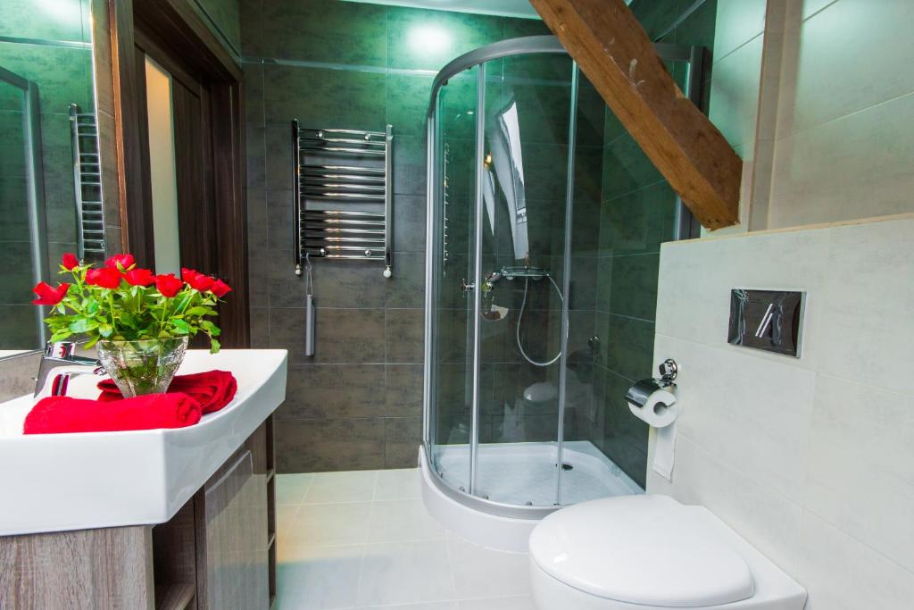 Апартаменты (Апартаменты с 1 спальней и видом на горы), Apartamenty Dawna Wisła