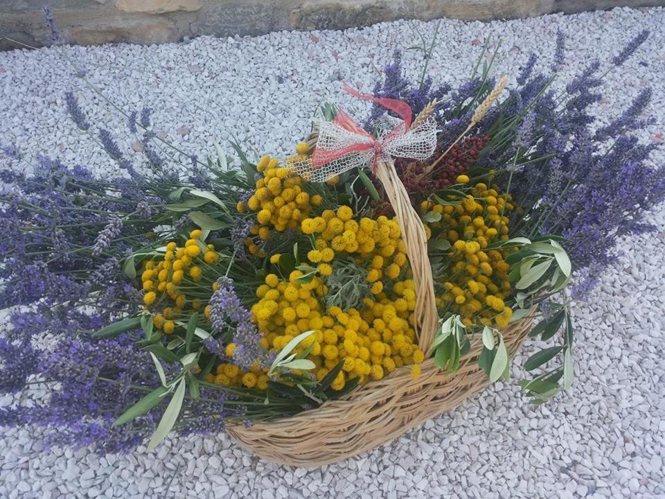 Agriturismo Il Moro photo 2