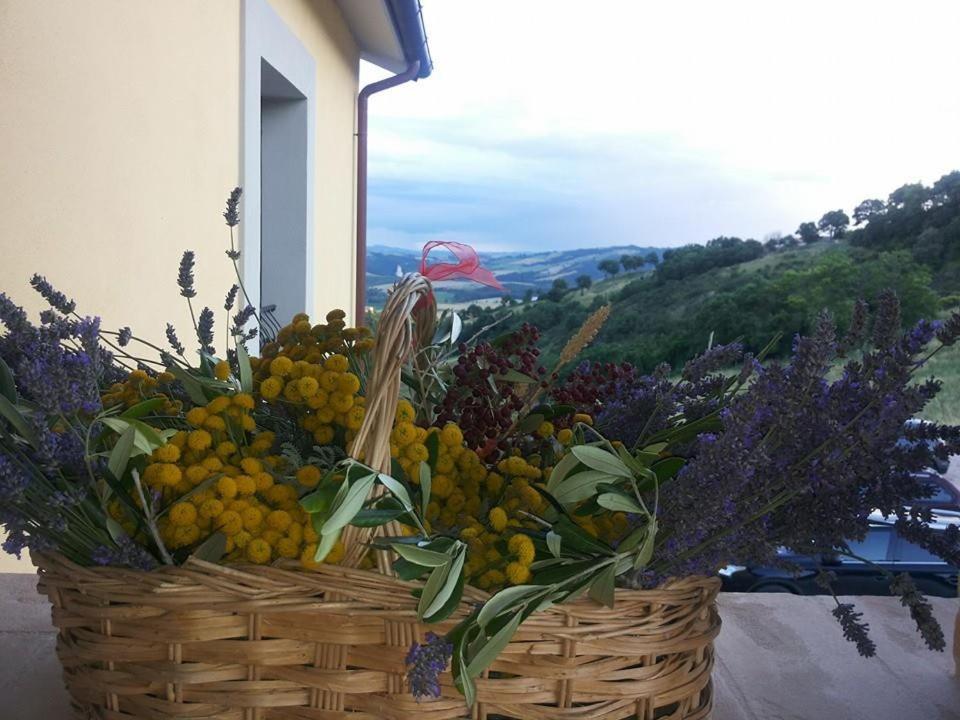 Agriturismo Il Moro photo 1