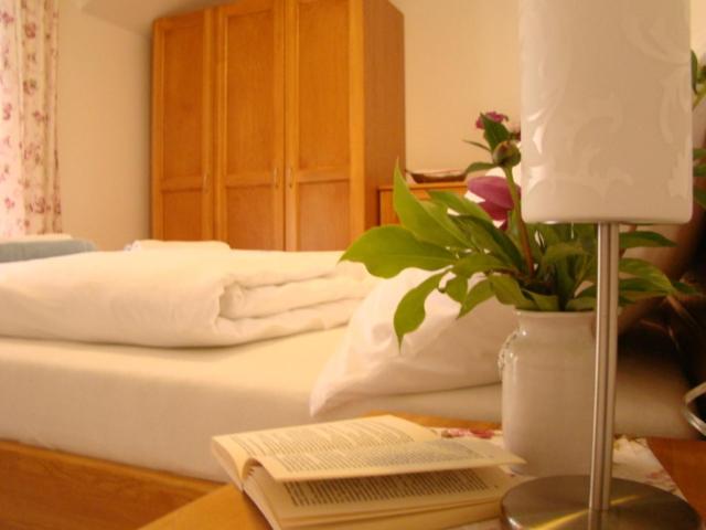 Апартаменты (Апартаменты с 1 спальней), Virágoskert Apartman