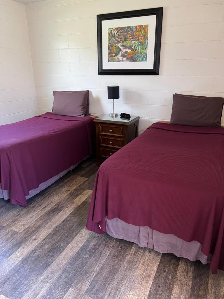 Tip Top Motel Room Type - Double Room