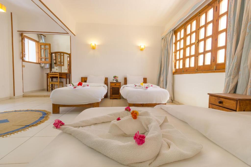 Трехместный (Классический трехместный номер), Acacia Dahab Hotel