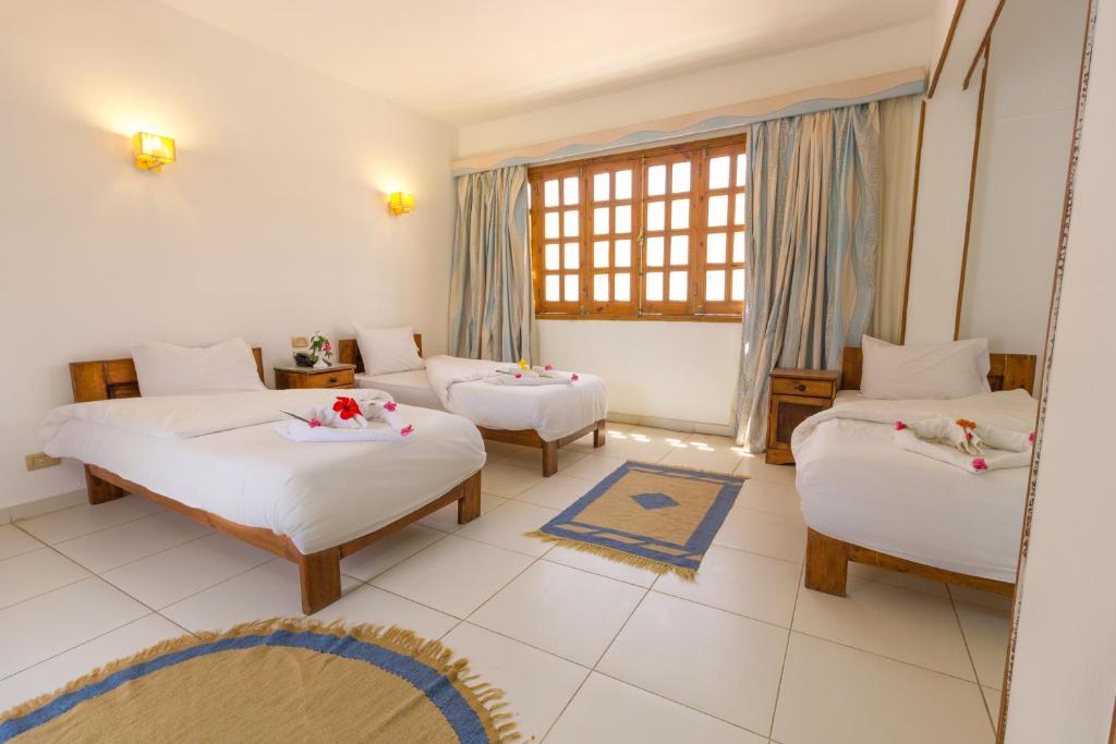 Трехместный (Классический трехместный номер), Acacia Dahab Hotel