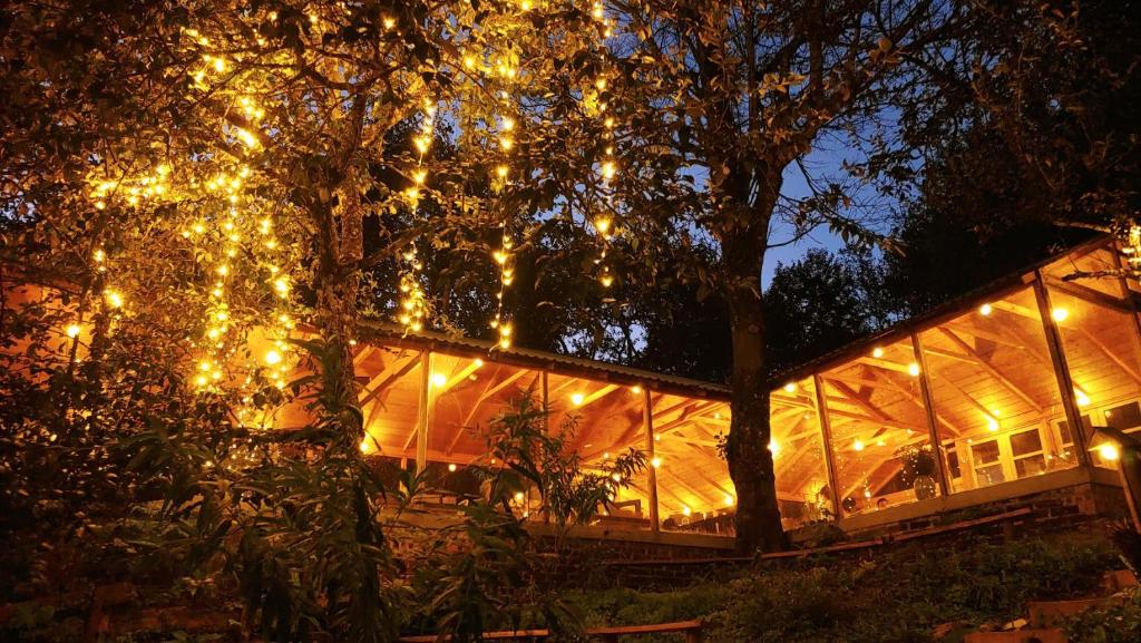 Happy Town Tà Xùa - Thị Trấn Vui Vẻ