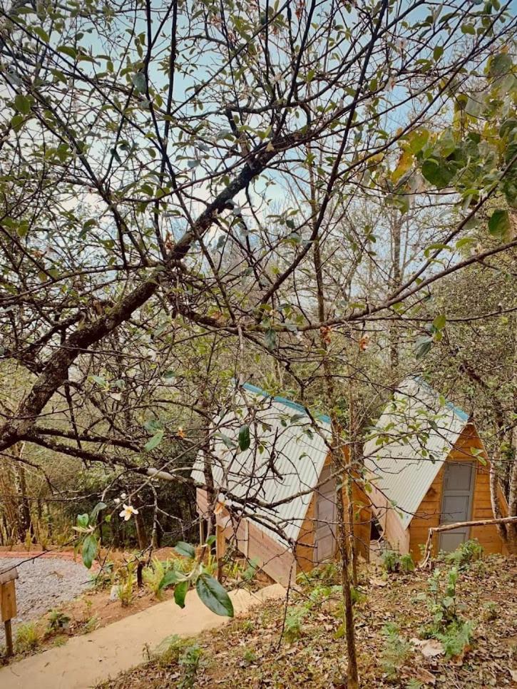 Happy Town Tà Xùa - Thị Trấn Vui Vẻ