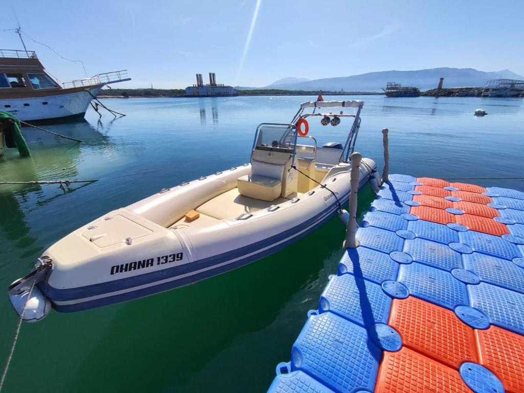 Boat Ventures photo 2