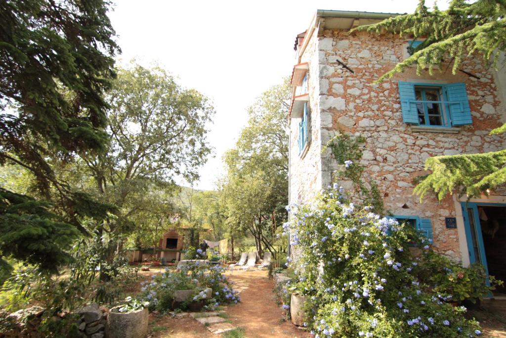 Holiday Home Botanica photo 2