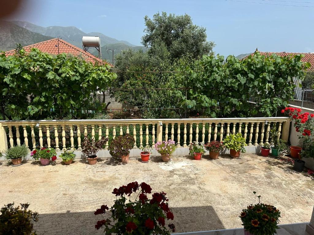 Santi's Villa photo 4