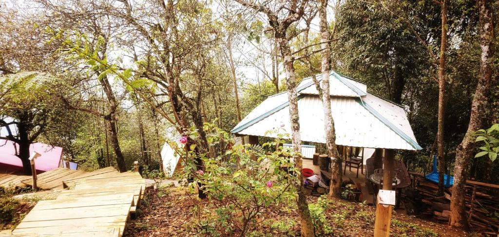 Happy Town Tà Xùa - Thị Trấn Vui Vẻ