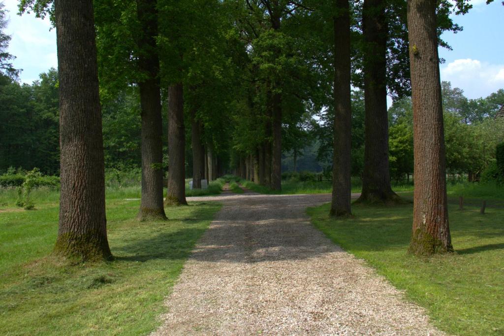 B&B Kasteel Den Tip photo 4
