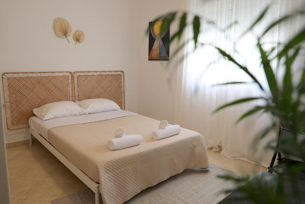 Jasmine Sol Retreat photo 1