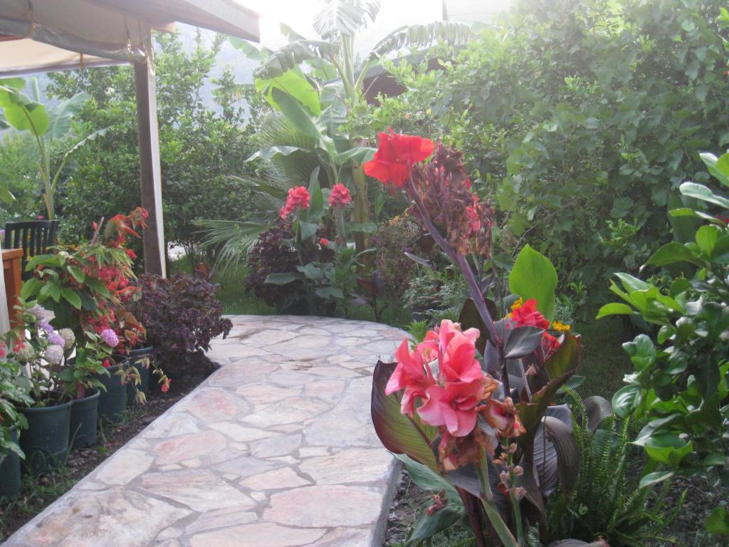 Cirali Armira Bungalow - Tap to explore photos