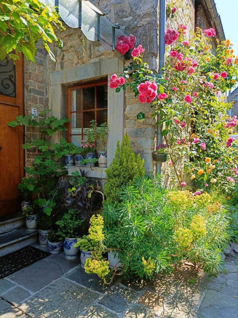 Le Jardin des Miroirs photo 1