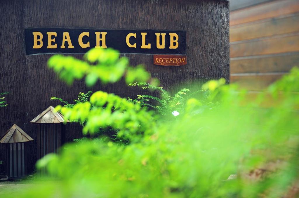 Koh Tao Beach Club photo 1