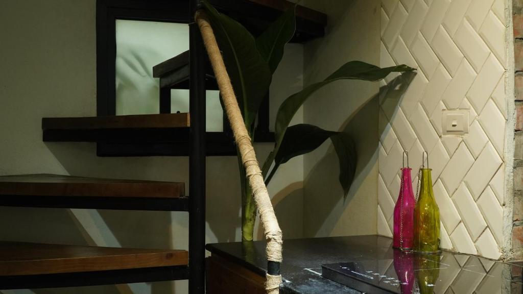 Bungalow thư giãn và vườn cây xanh