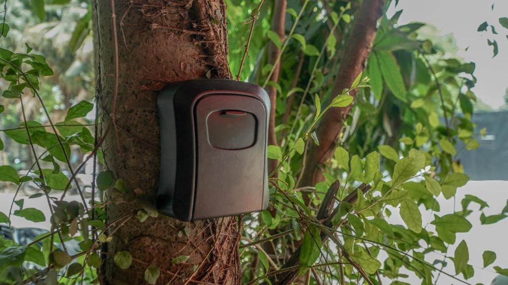 Bungalow thư giãn và vườn cây xanh