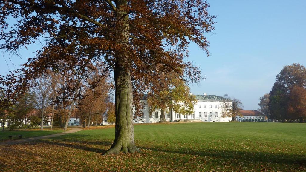 Hotel Schloss Neuhardenberg photo 2