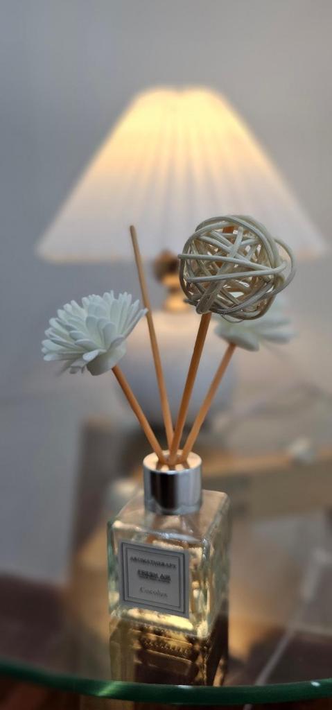 AnE House 2 SHP Plaza 12 Lach Tray, Hai Phong