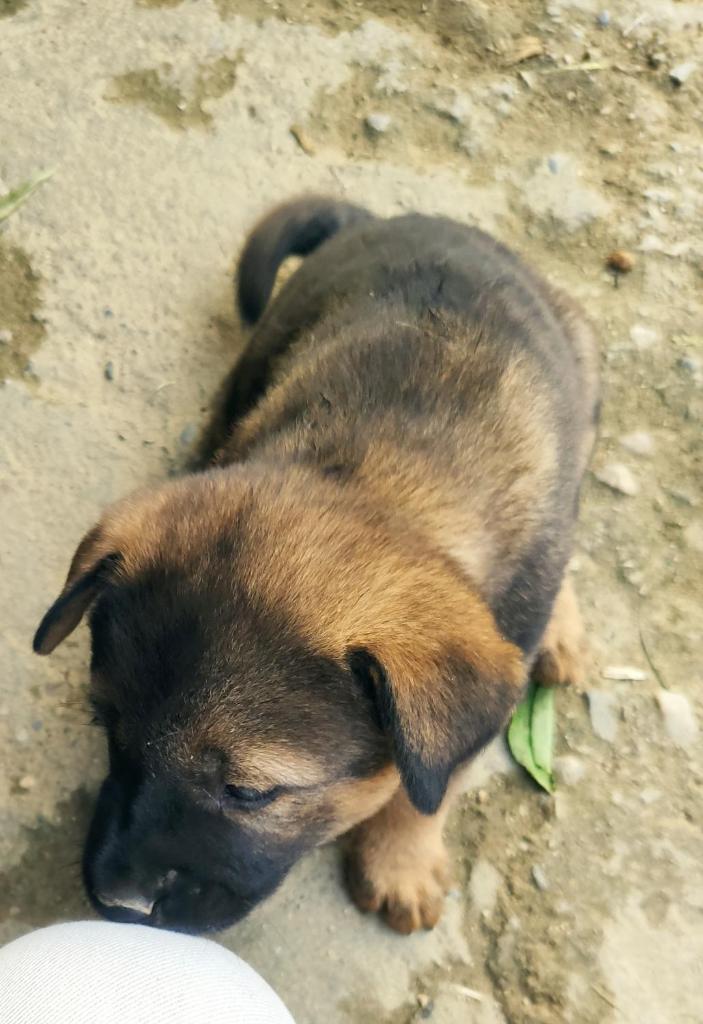 Khen Mong Nature Hotel