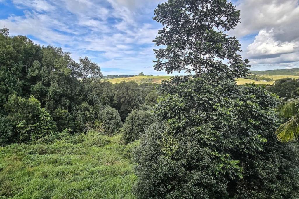 Byron Bay Hinterlands Dreaming Woods Cabin One photo 4