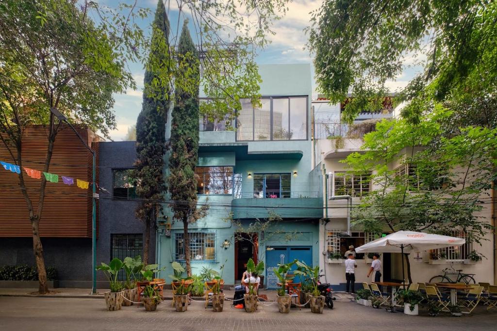 Comfortable & Cozy Apartment Reforma Avenue