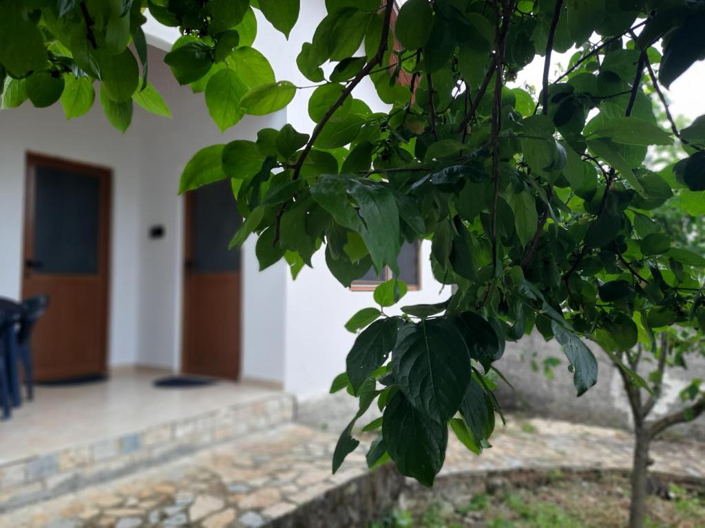 Elian Rooms