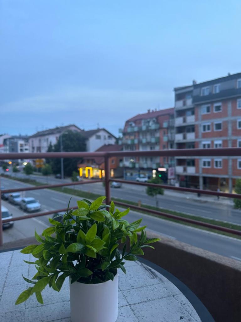 Čarolija 2 photo 1