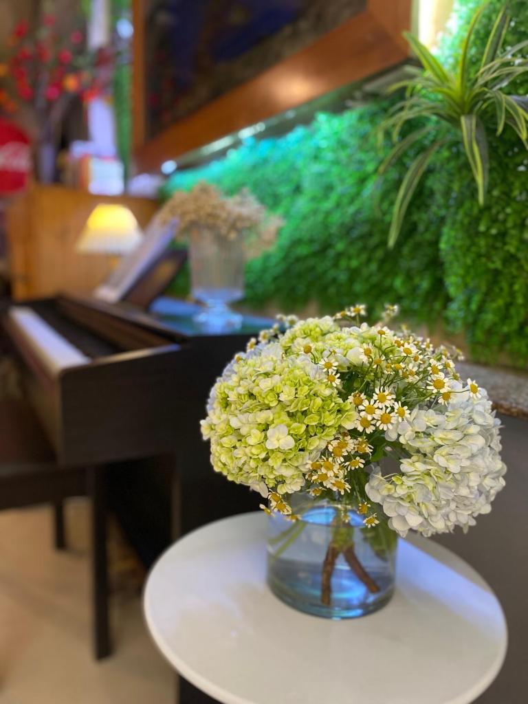 Violet Star Hotel and Spa