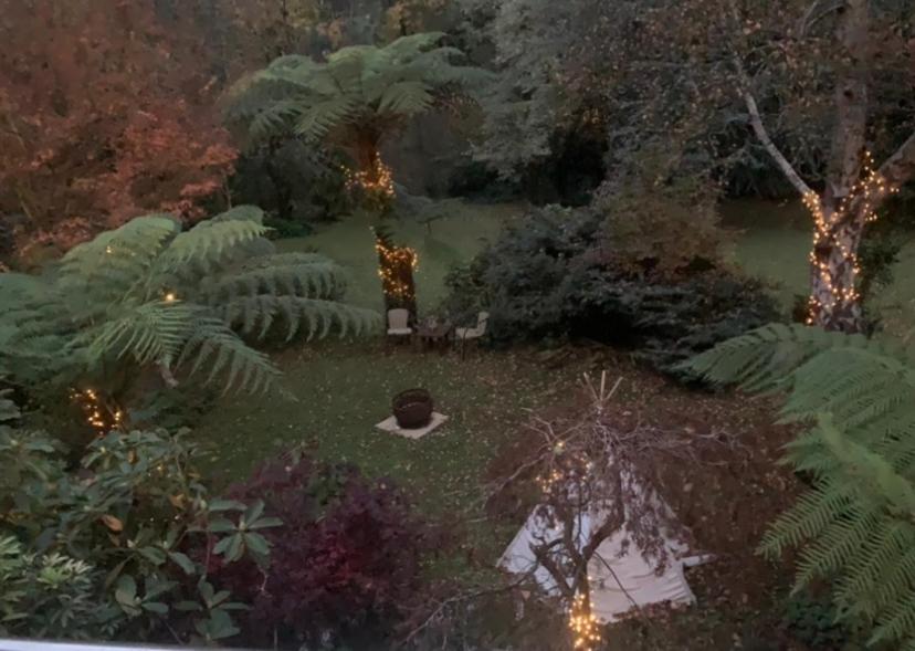 Green Forrest Cottage photo 1