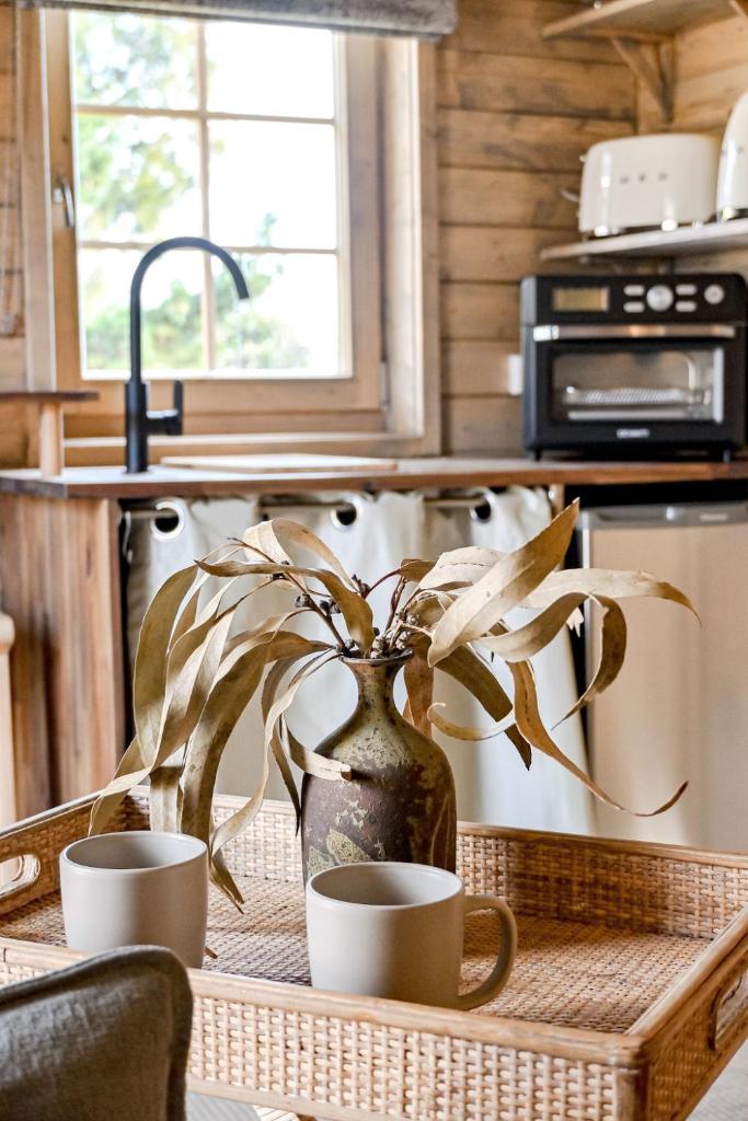 Stylish Tiny Home with Fire Pit in Moss Vale photo 1