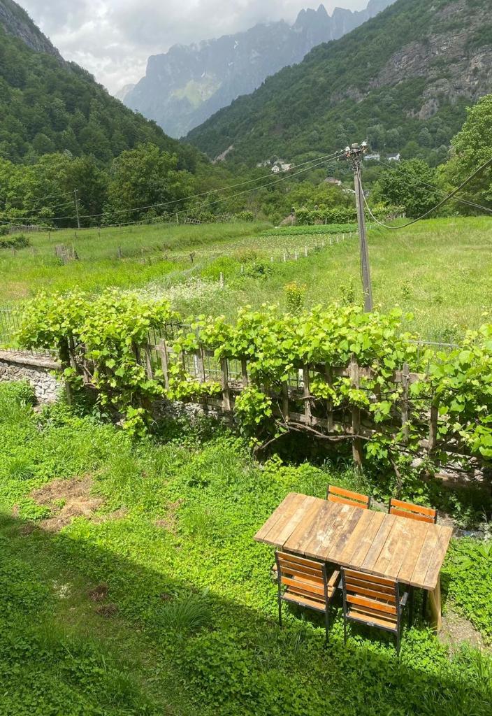 Guesthouse Sibora photo 4