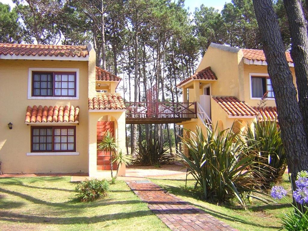 Pino Dorado photo 2
