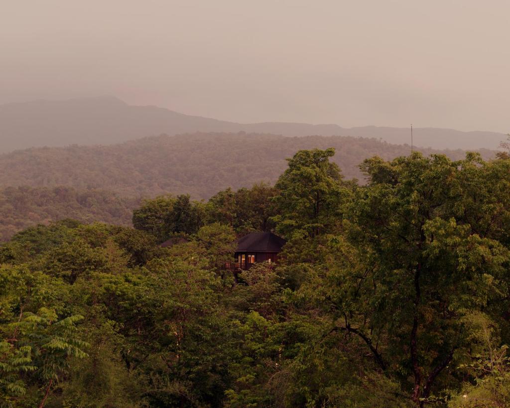 The Postcard Hideaway, Netravali Wildlife Sanctuary, Goa photo 1