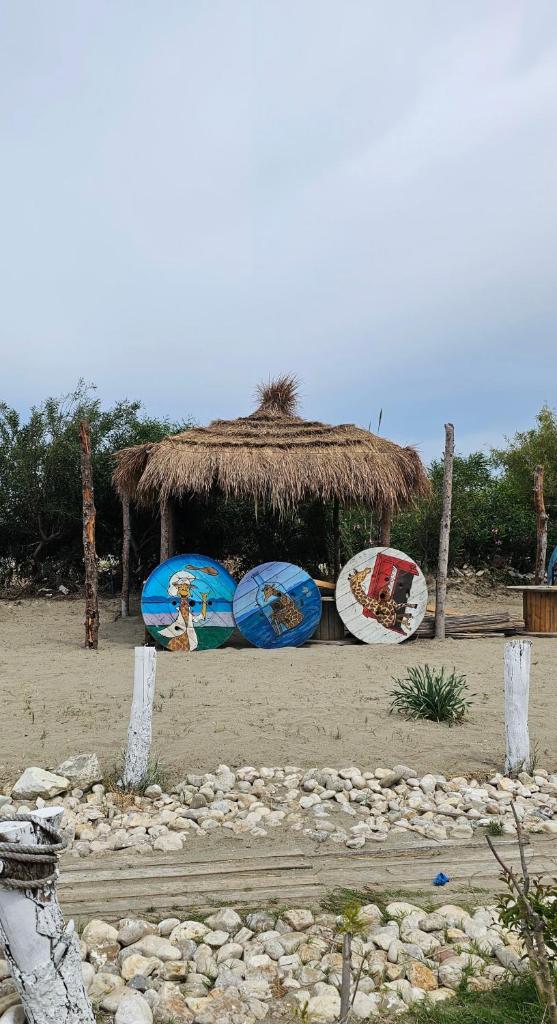 Zulu Beach tenda photo 4