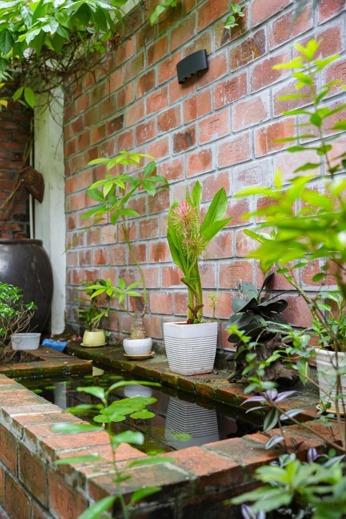 Căn nhà trong khu vườn yên tĩnh