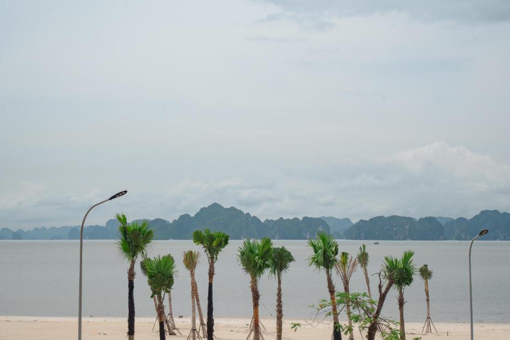 Cozy Studio- Ha Long Beach Front-Hottub-Pool