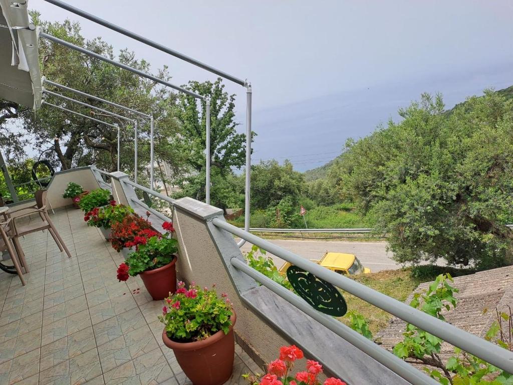 Adriatik Apartments AA photo 4