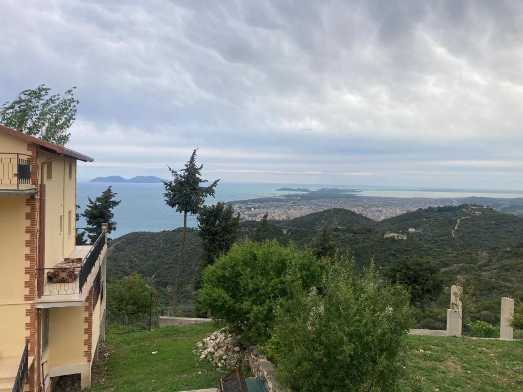 Luzaj B photo 2