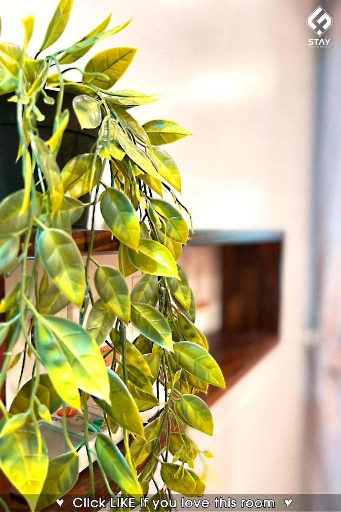 FSTAY GARDEN CORNER - Cozy and Peaceful Homestay in Da Nang