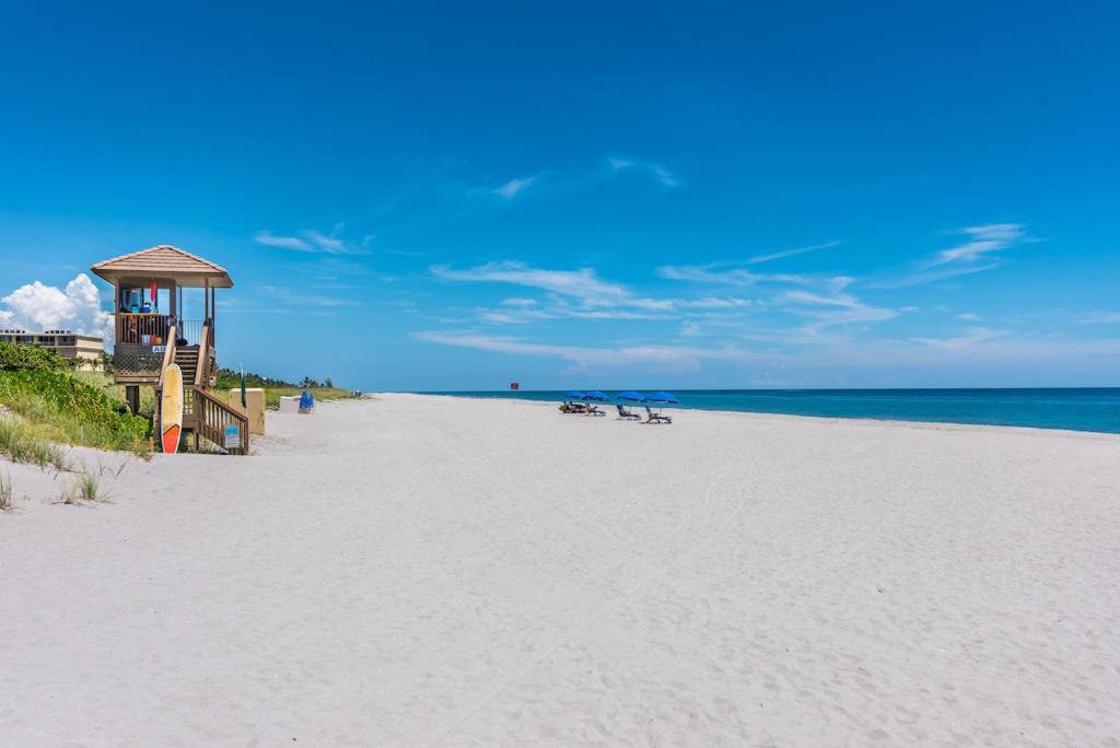 Newly Remodeled Lakefront Oasis image