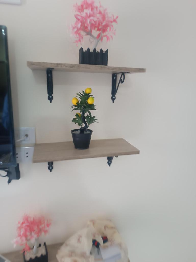 Princess resort flat no217
