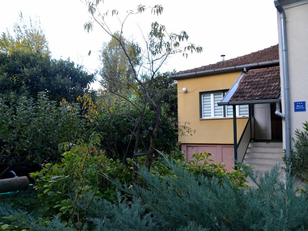 Apartments Antonella