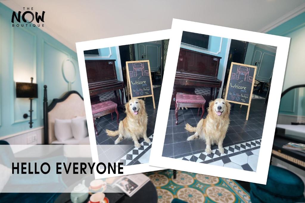 The Now Boutique Hotel