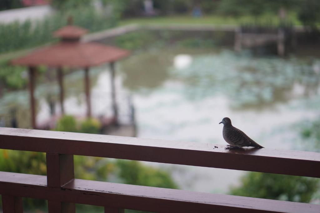 Thaihome Resort photo 1