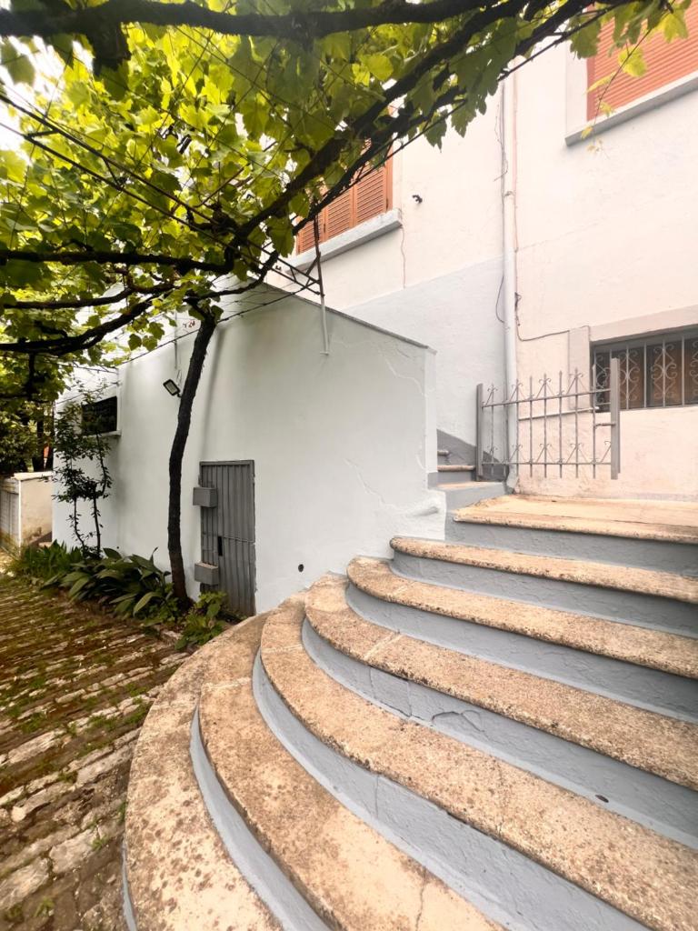 Thimjos & Ritas Guesthouse photo 4
